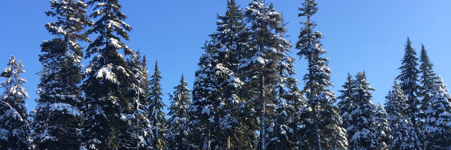JayStone1088's profile banner image
