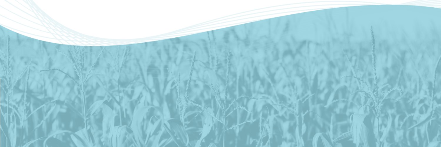 IremaIreland's profile banner image