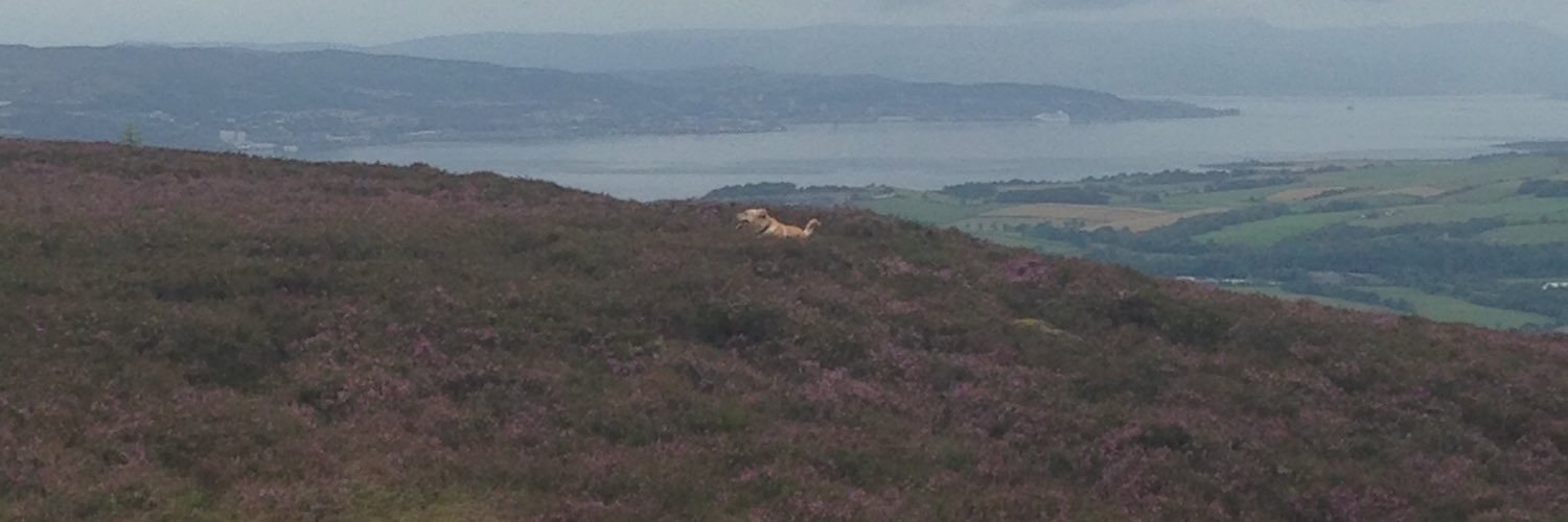 Pamela Connolly banner