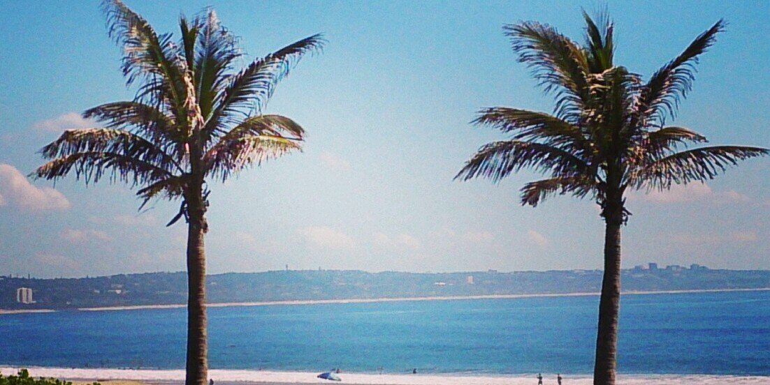 James Falconer banner