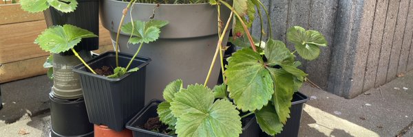 katjavanwell Profile Banner