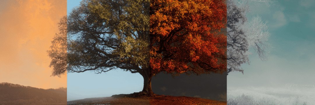 DreamerDM's profile banner image