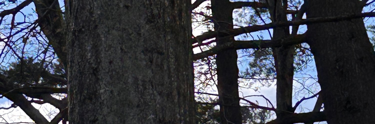 DanNEJacks's profile banner image