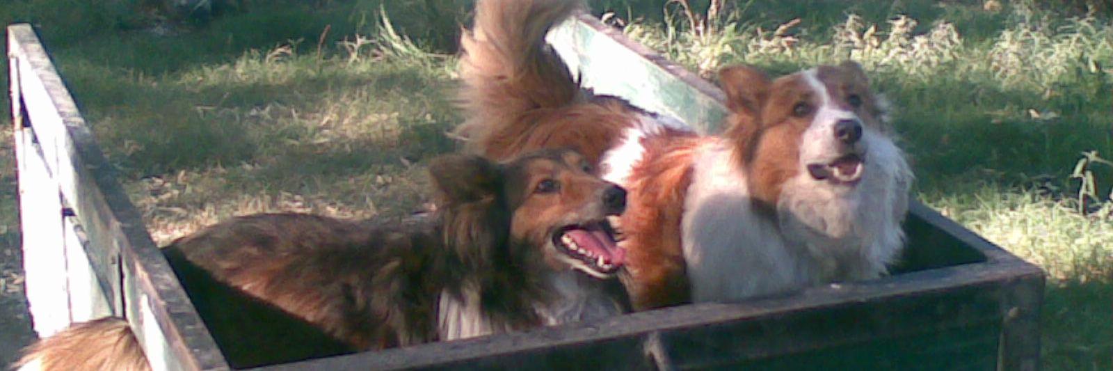 FranMendiverri's profile banner image