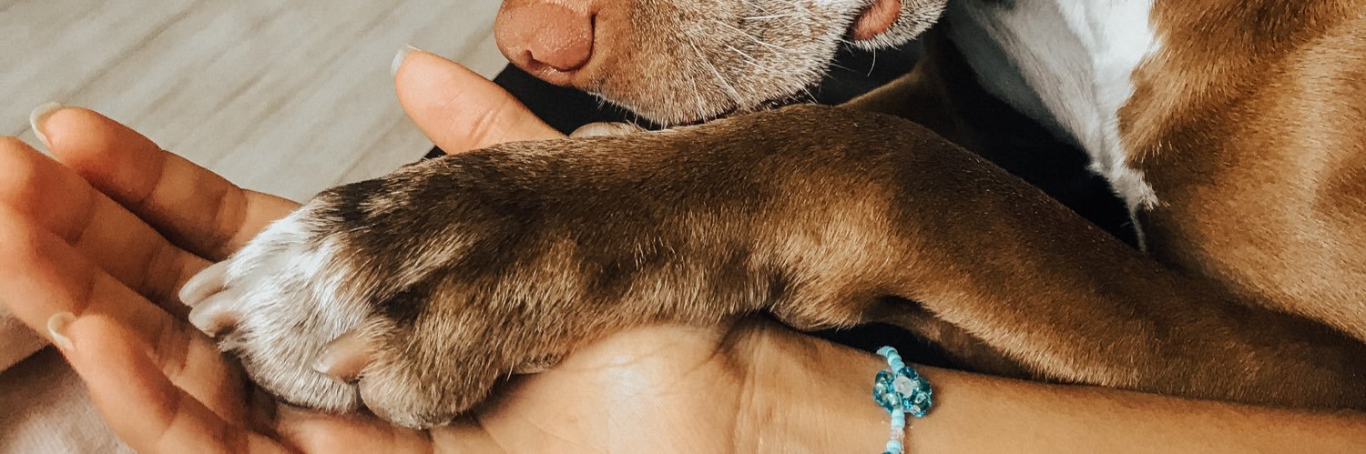 dreeea19's profile banner image