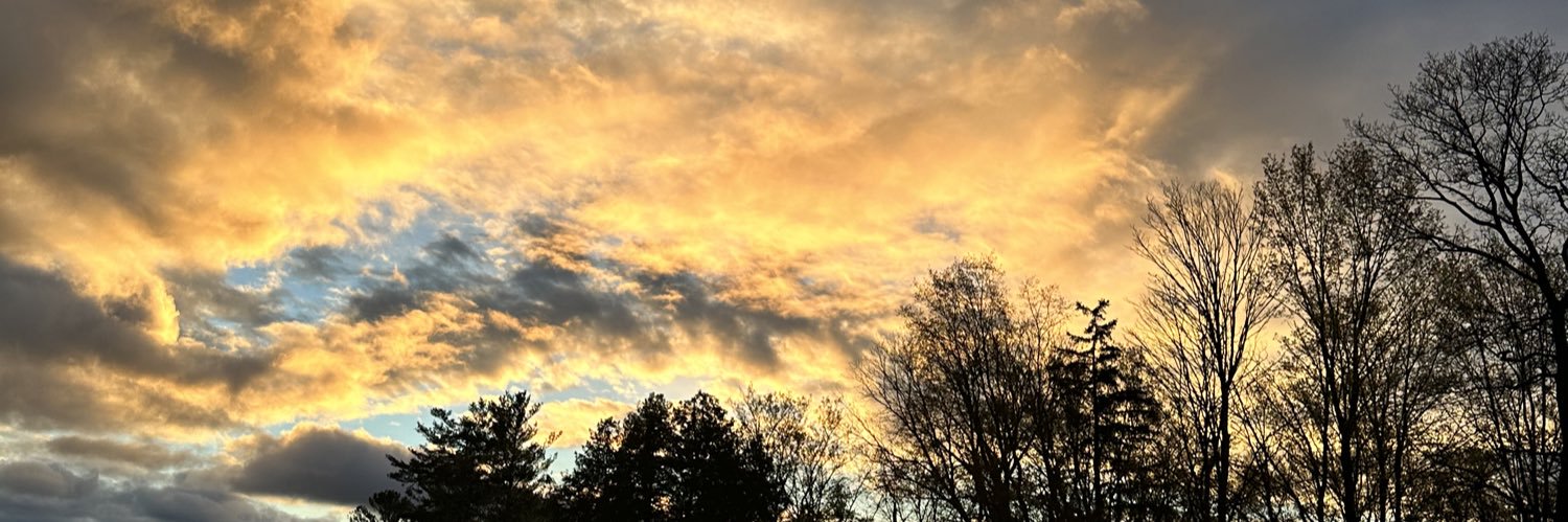 Meaghan Martin banner