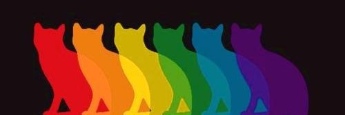 sandramasso's profile banner image