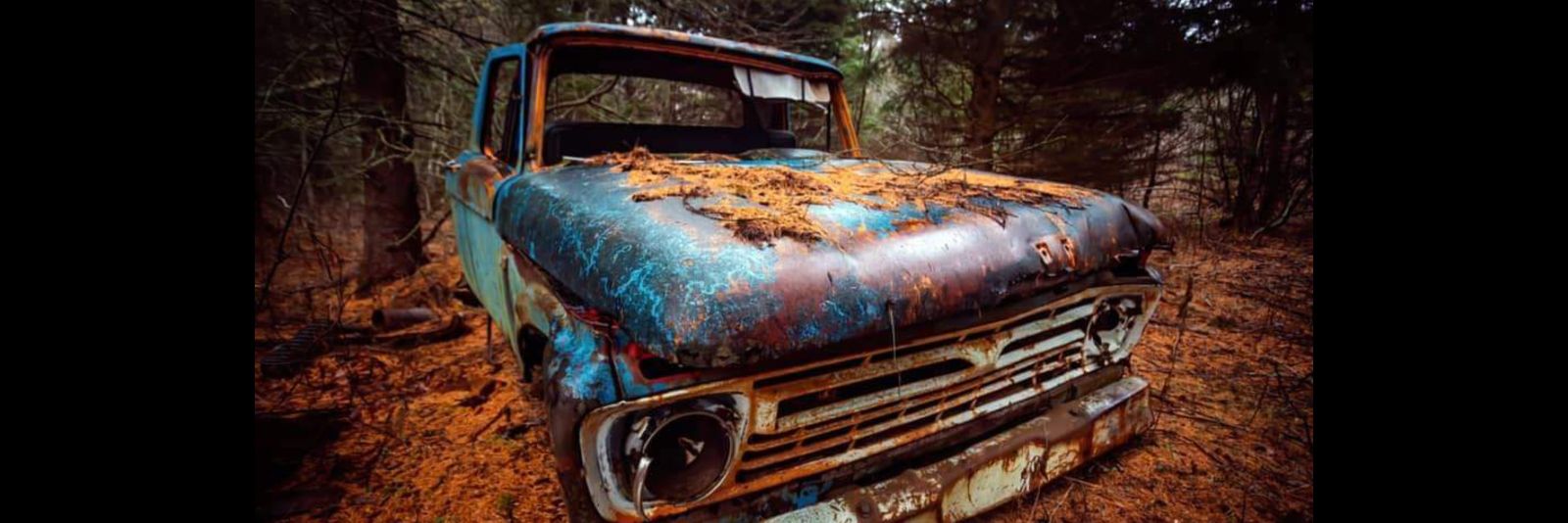 Scholar of The Far Left banner