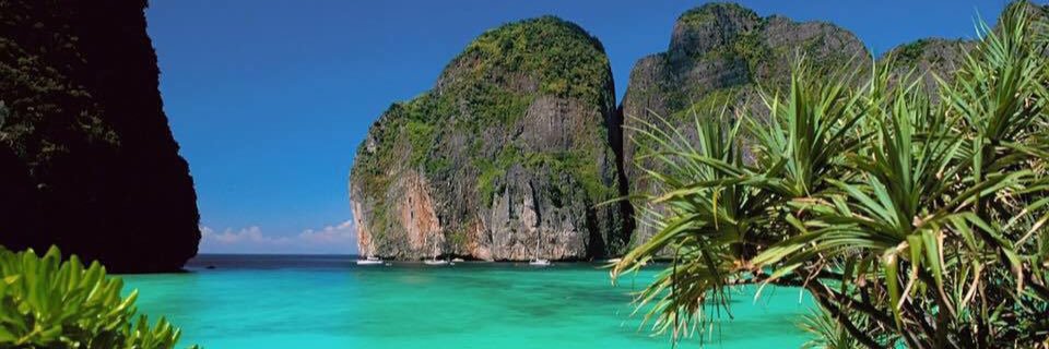 Stephanie Warren banner