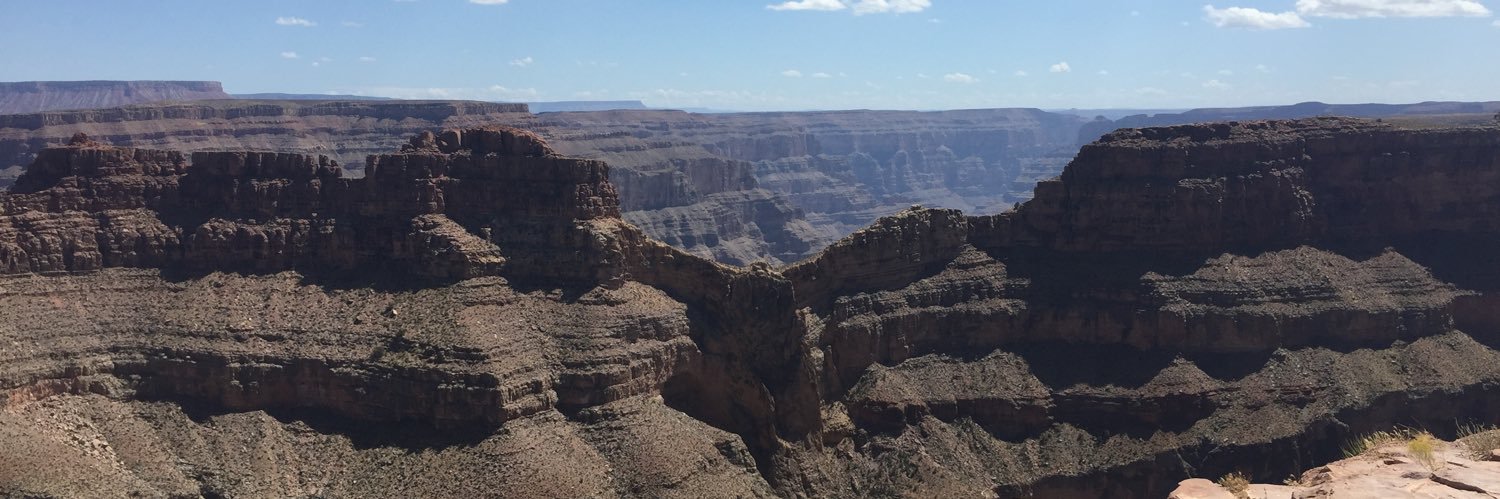 Dídac Navarro banner