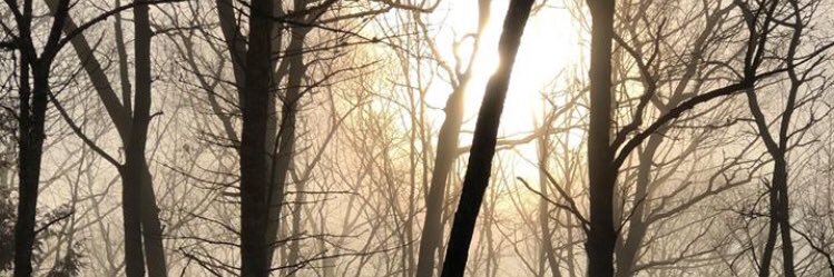 ltcullen's profile banner image