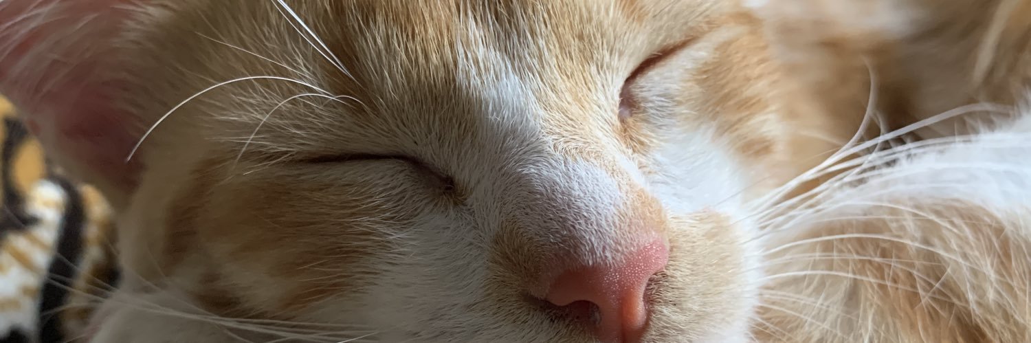 ducaralio's profile banner image