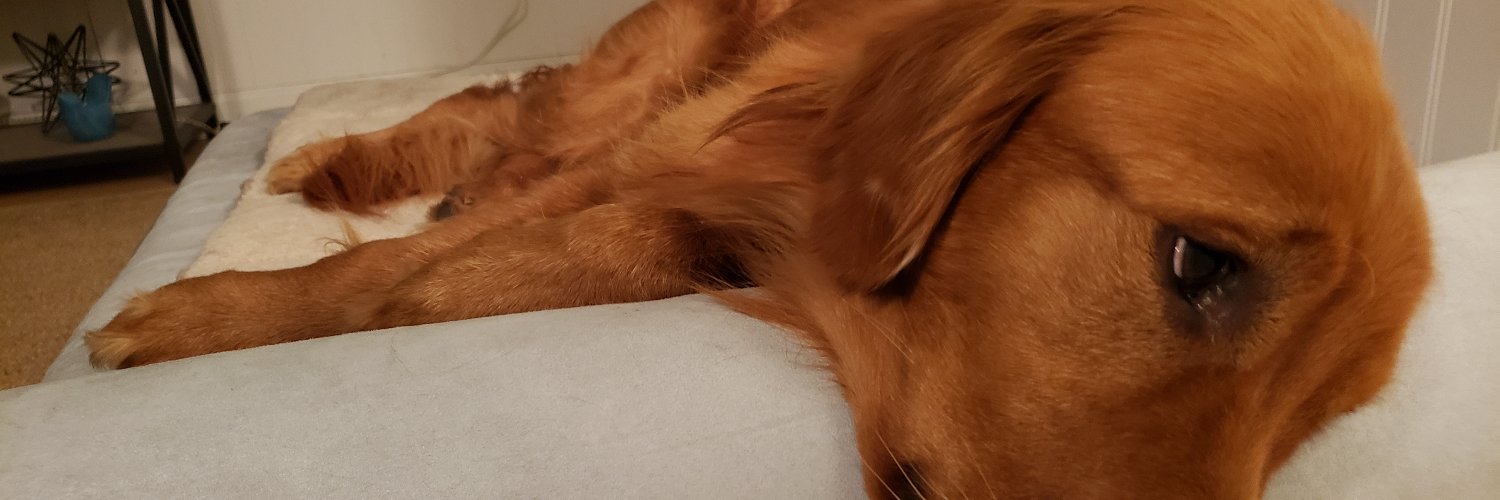 NickBushkar's profile banner image