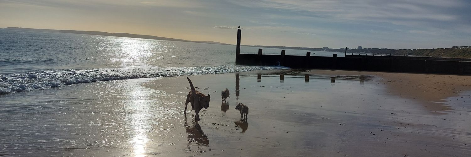 Bungles08's profile banner image