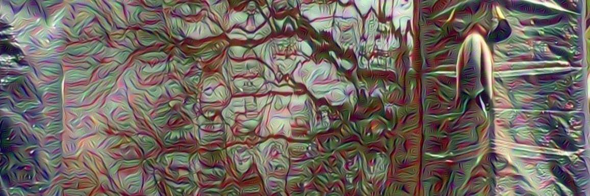 murrman14's profile banner image