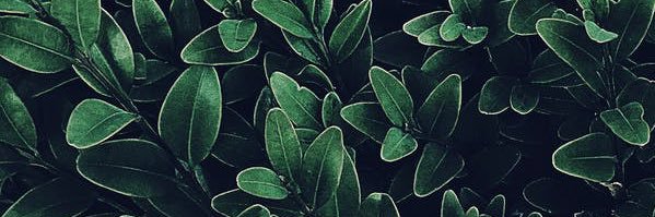 oxoxtori's profile banner image