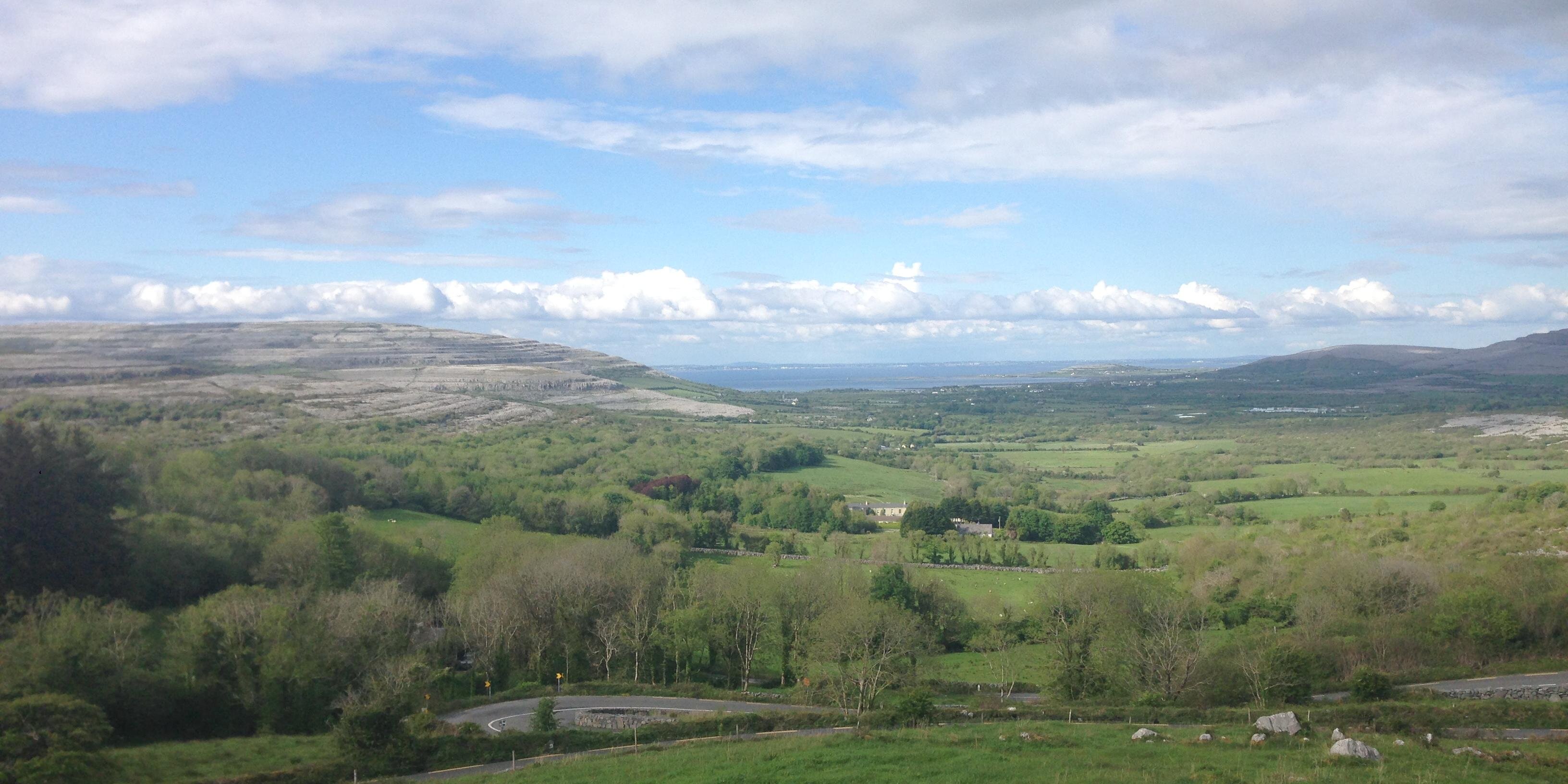 Maura O'Connell banner