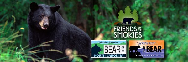 SmokiesFriends Profile Banner
