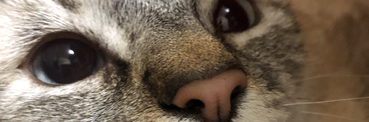 Elyager's profile banner image