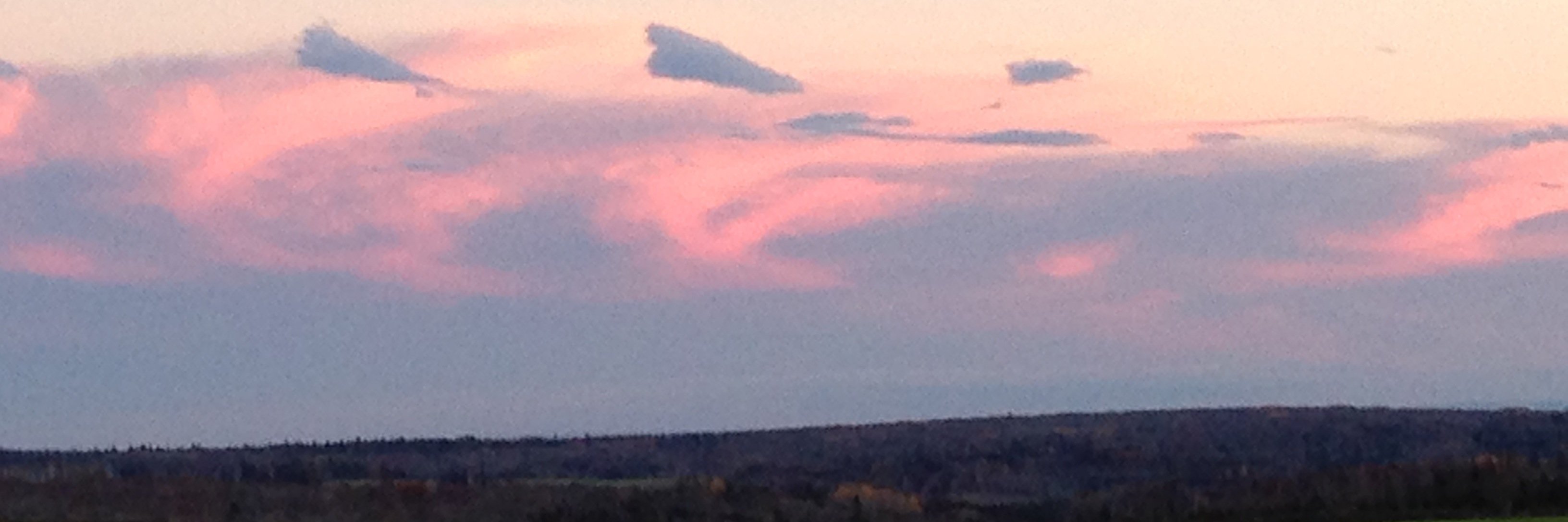 Michelle MacCallum banner