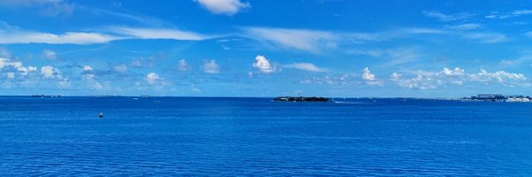tedry Profile Banner