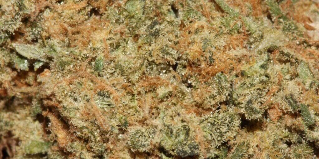 stoner_problems's profile banner image