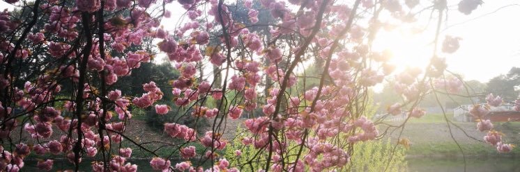 Sarah-Louise Tyler banner