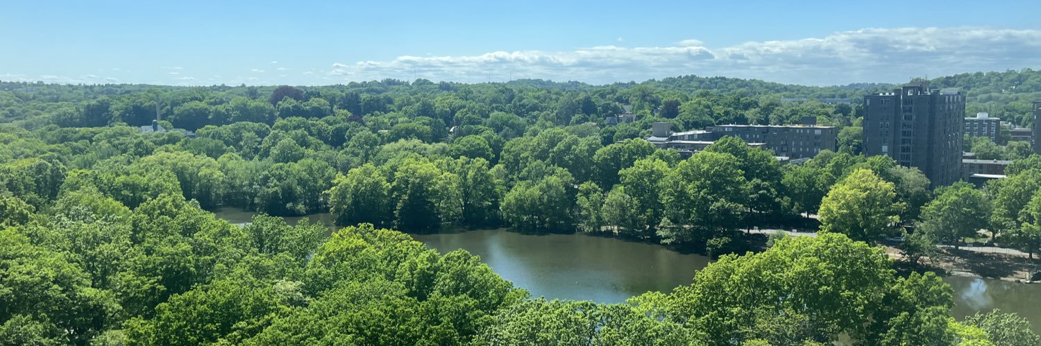 Maria Virginia Velasquez-Hammerle, MD banner