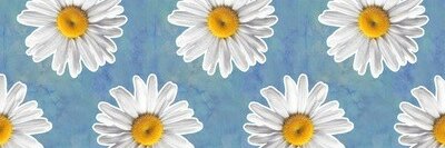 olgaposso's profile banner image