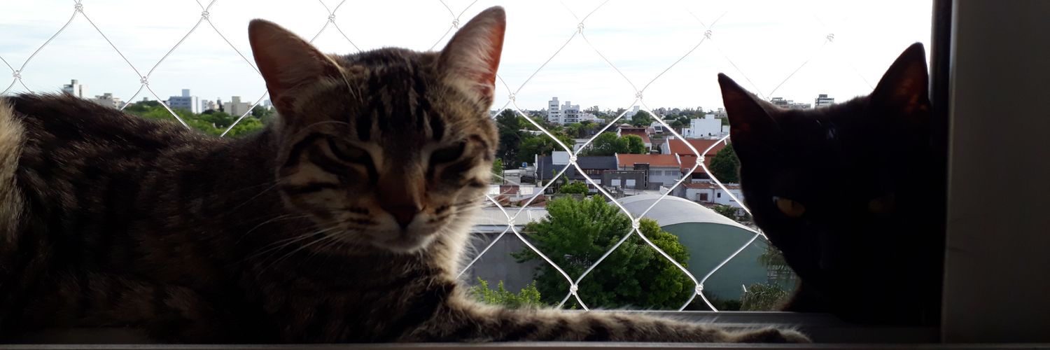 Flopy De Maio banner