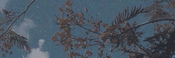 AmandaPlease04's profile banner image