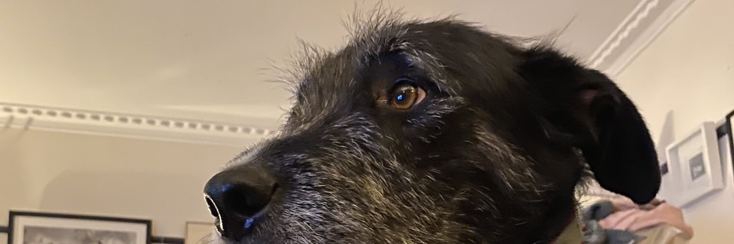 vanessabas's profile banner image