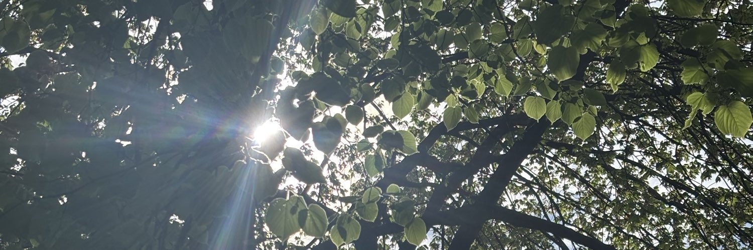 geographyjoke's profile banner image