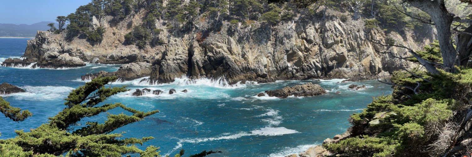 Leili Doerr Riegel banner