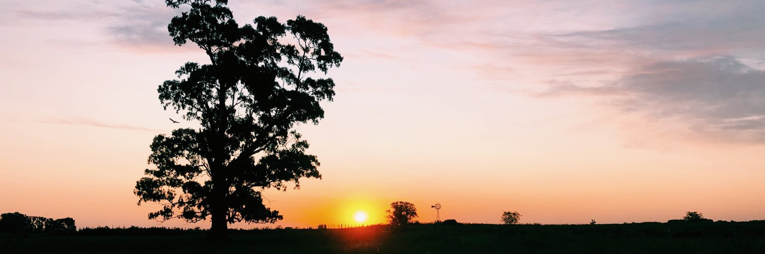 SofiBottini's profile banner image
