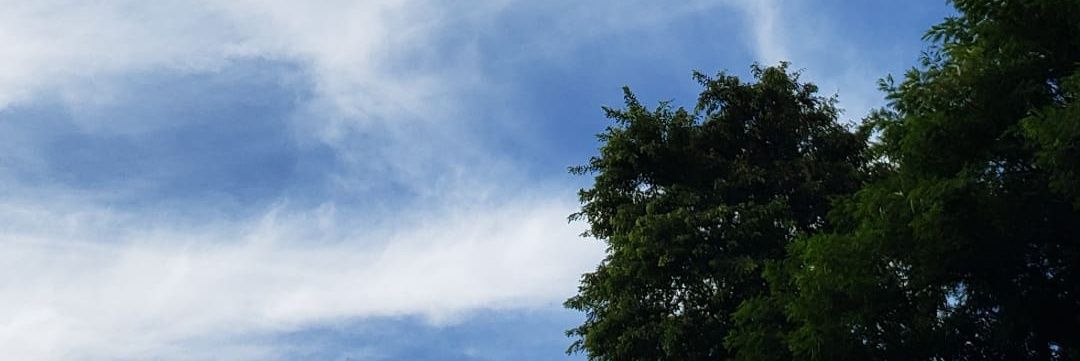 mardvasco's profile banner image
