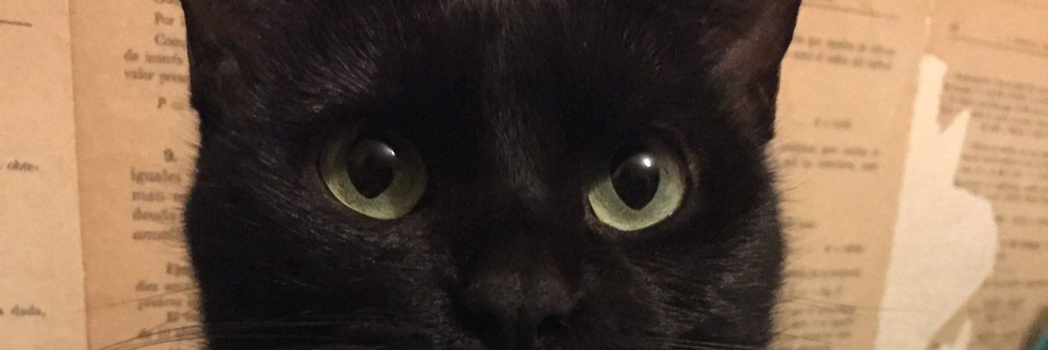 MagMezza's profile banner image