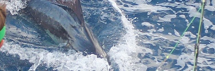 Sether_E's profile banner image