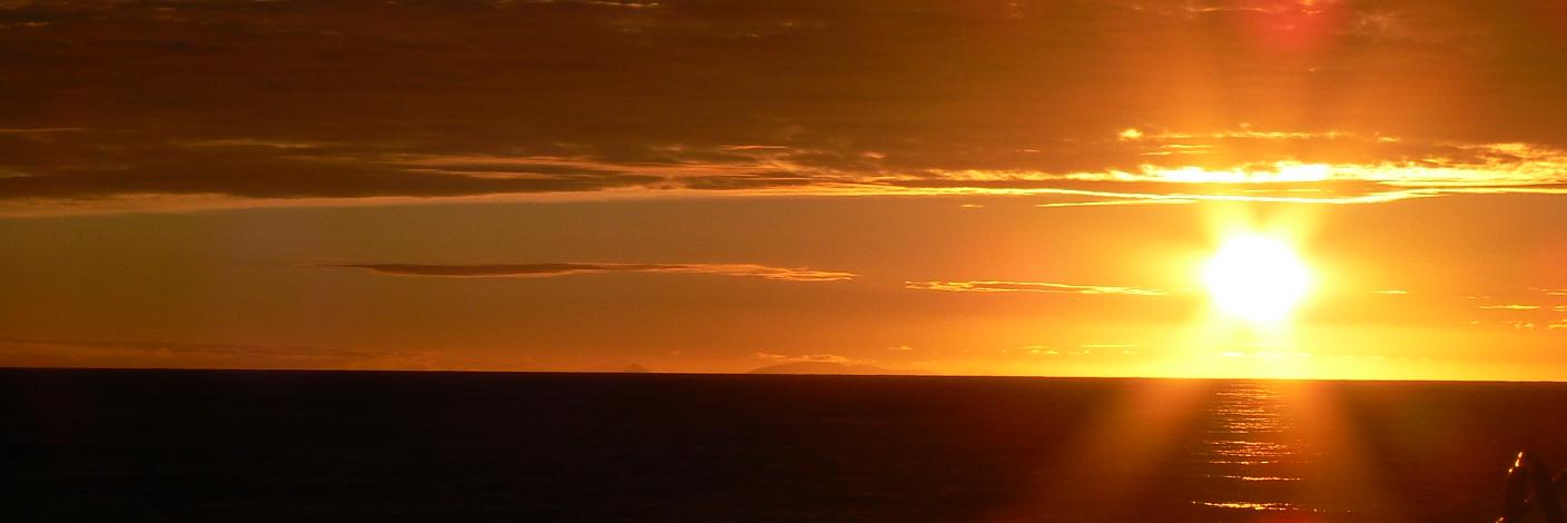 Maxwell Braverman banner