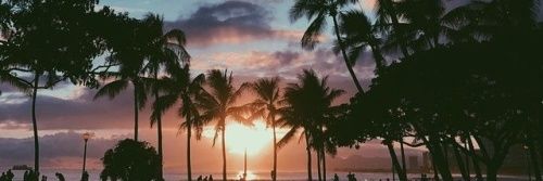 florespos's profile banner image
