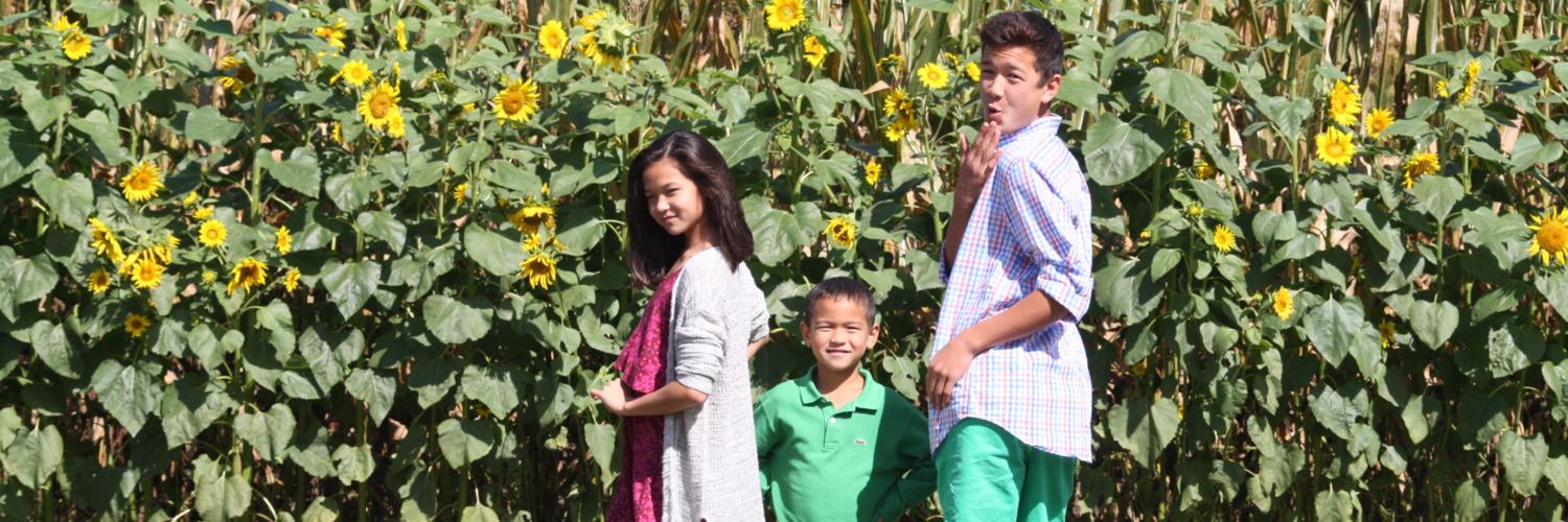 dbmcallister's profile banner image