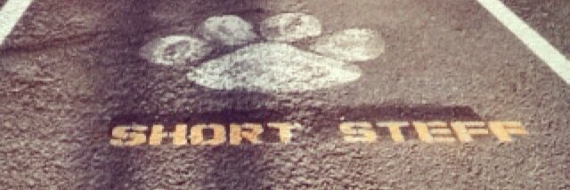 Shortsteff18's profile banner image