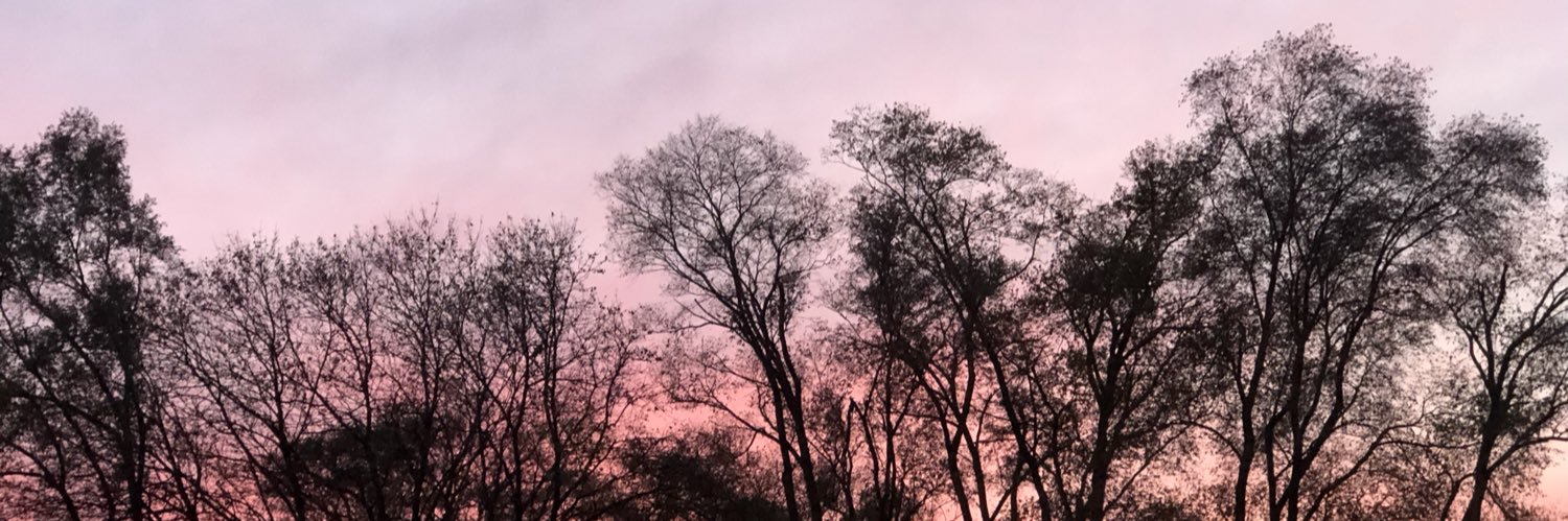 lexfrd's profile banner image