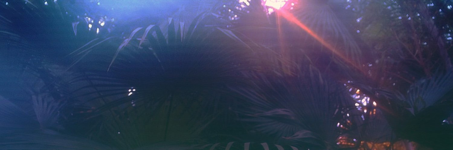 Dmitry Dickov banner