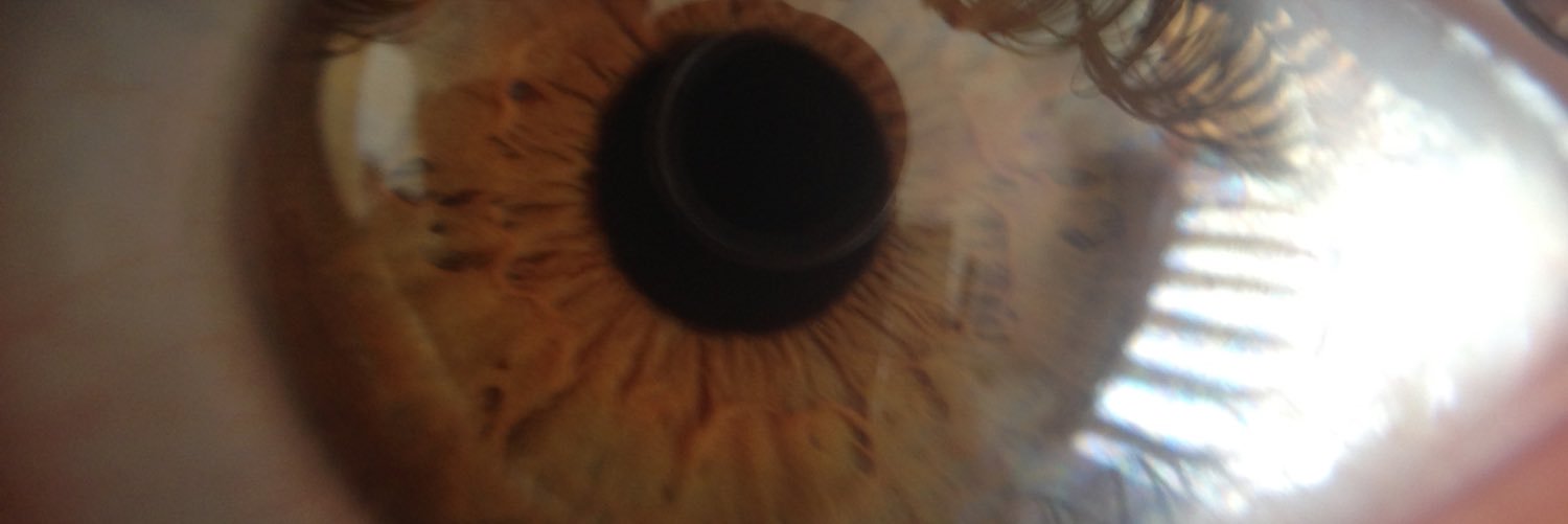 caroexsome's profile banner image