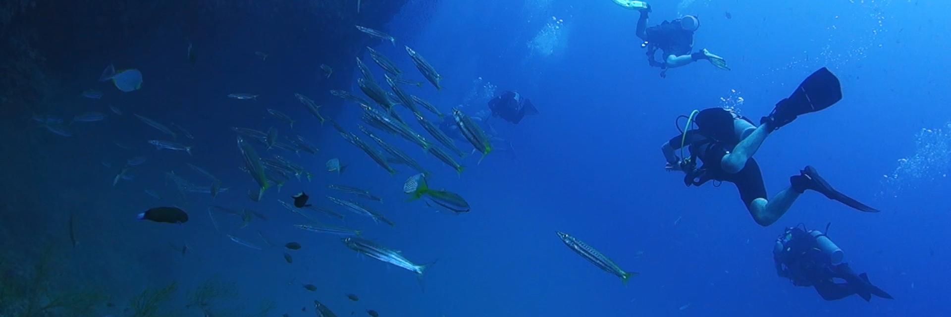 Matthew Standage banner