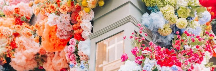 aneemaida's profile banner image