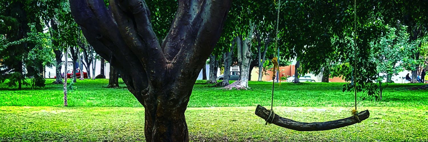 dendritabrain's profile banner image