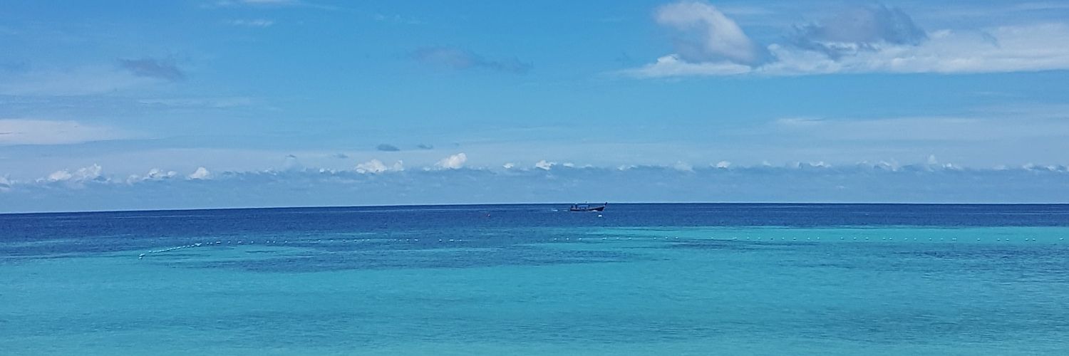 MPauladevesa's profile banner image