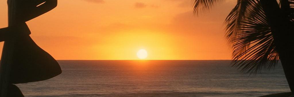 CafeSarcasmo86's profile banner image
